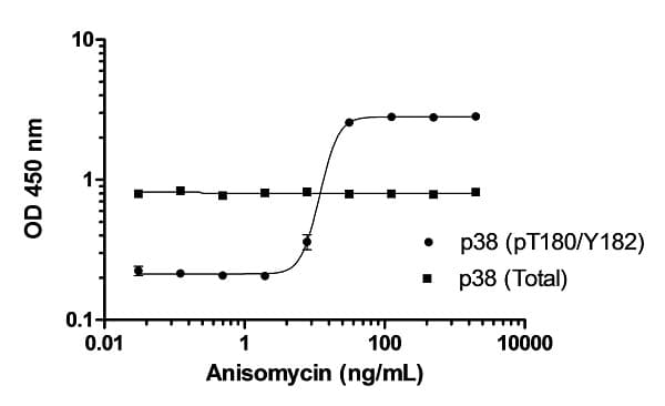 p38 MAPK alpha ELISA Kit(ab221012)
