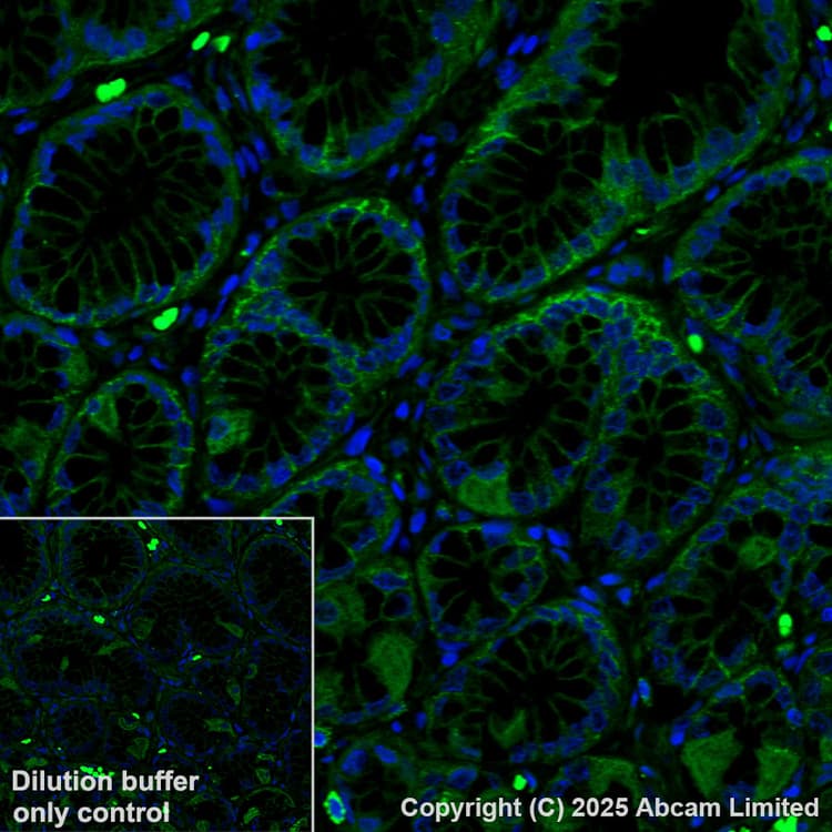Antigen Retrieval Buffer (100X Tris-EDTA Buffer, pH 9.0)(AB93684)