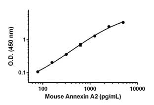 Mouse Annexin A2 ELISA Kit(AB210576)