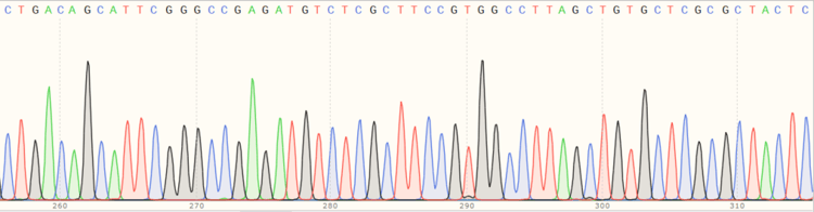 Human B2M (beta 2 Microglobulin) knockout HEK-293T cell line(AB266828)