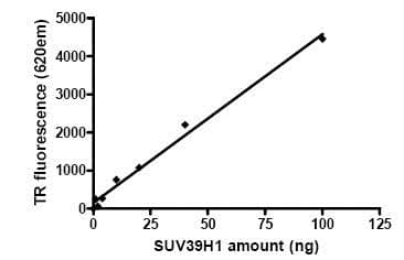 Recombinant human KMT1A / SUV39H1 protein(AB80289)