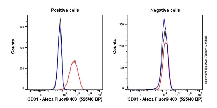 Anti-CD81 antibody [M38](AB79559)