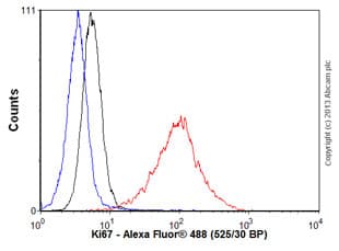 Anti-Ki67 antibody [OTI5D7](AB156956)