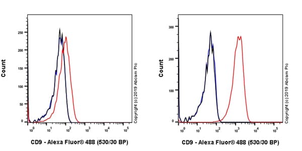 Anti-CD9 antibody [EPR23105-121](AB236630)