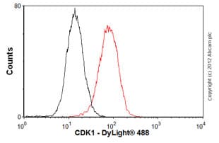 Cdk1 Antibody A17 Ab18  Flow Cytometry Intracellular Img127862