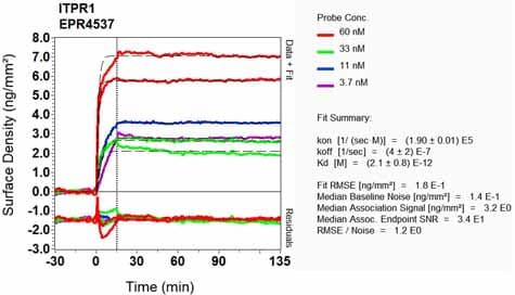 Anti-IP3 receptor antibody [EPR4537](AB108517)