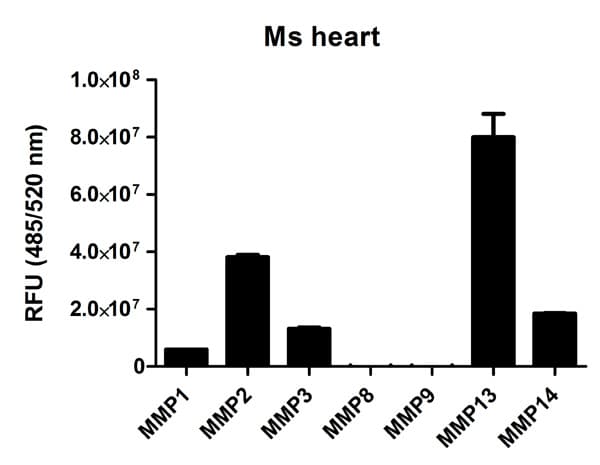 MMP Activity Assay Kit (Fluorometric - Green)(AB112146)