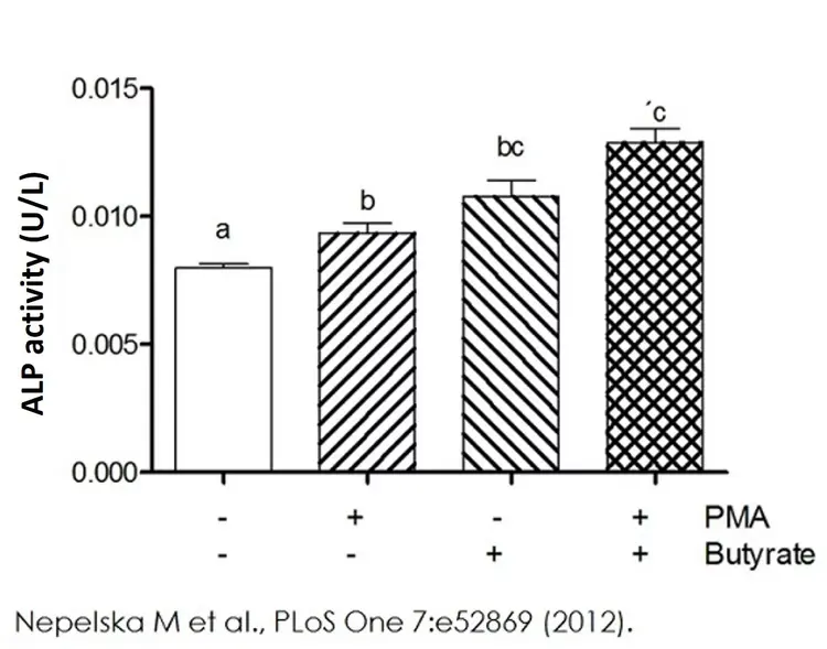 Alkaline Phosphatase Assay Kit (Colorimetric)(AB83369)