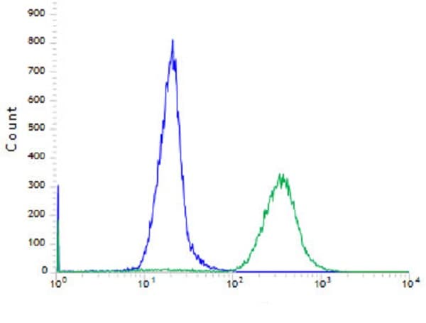 Anti-FGFR2 antibody [SP273] - BSA and Azide free(AB272012)