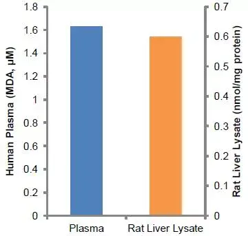 Lipid Peroxidation (MDA) Assay Kit (Colorimetric/Fluorometric)(AB118970)