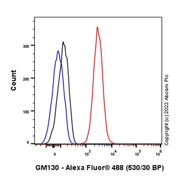 Anti-GM130 antibody [EP892Y] - Chicken IgY (Chimeric)(AB302489)