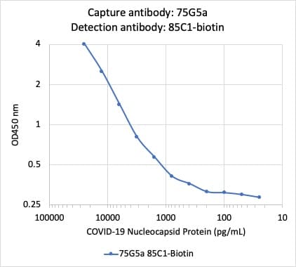 Anti-SARS-CoV-2 nucleocapsid protein antibody [75G5a](AB284653)