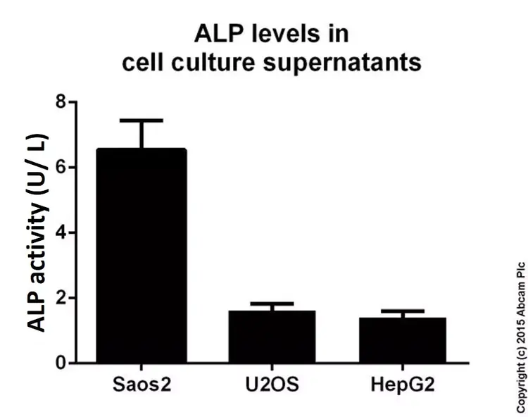 Alkaline Phosphatase Assay Kit (Colorimetric)(AB83369)