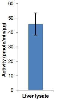 Acyl-CoA Synthetase Assay Kit (Fluorometric)(AB273315)