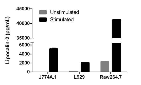 Mouse Lipocalin-2 ELISA Kit (NGAL)(AB199083)