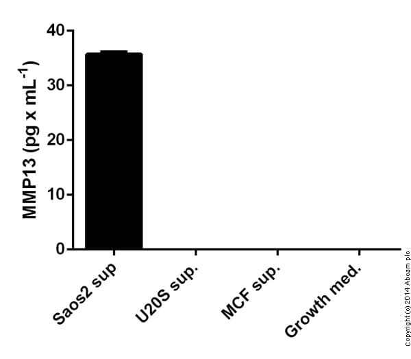 Human MMP13 ELISA Kit(AB100605)