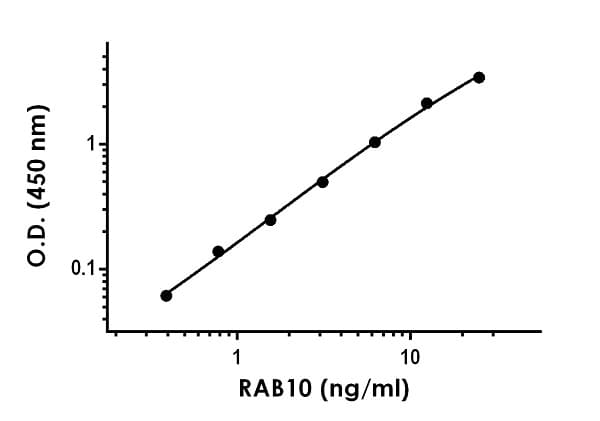 Rab10 ELISA Kit(ab255717)