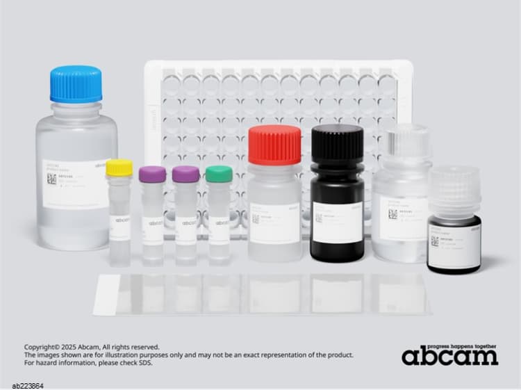 Human Von Willebrand Factor ELISA Kit(AB223864)