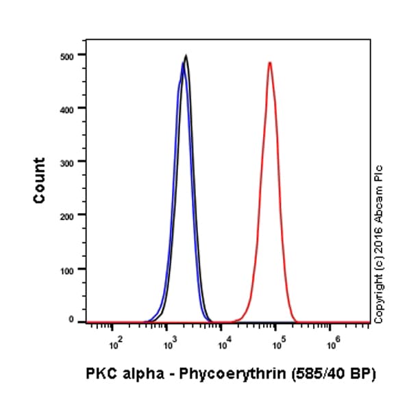 PE Anti-PKC alpha antibody [Y124](AB208749)