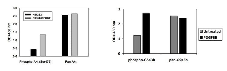 Phospho-AKT / GSK3 beta / mTor ELISA kit(AB279732)