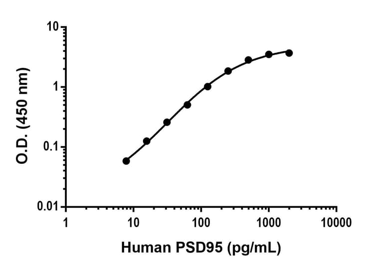 Anti-PSD95 antibody [EPR25940-14] - BSA and Azide free (Detector)(AB307902)
