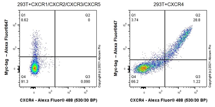 Anti-CXCR4 antibody [UMB2](AB124824)