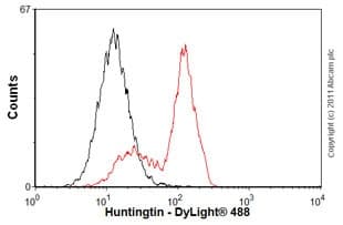 Anti-Huntingtin antibody [EP867Y](AB45169)