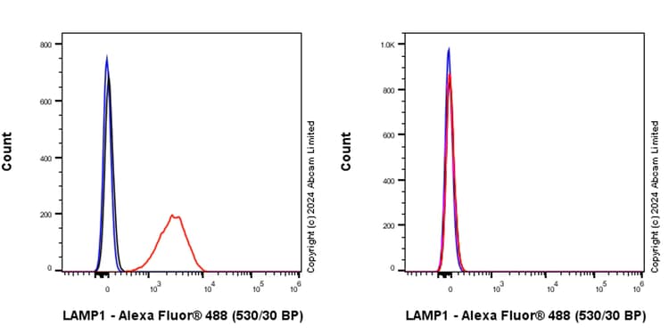 Anti-LAMP1 antibody [RM1217](AB320851)