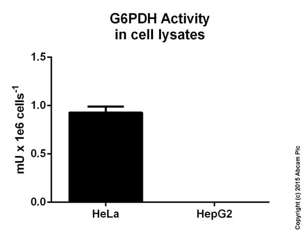 Glucose 6 Phosphate Dehydrogenase Assay Kit (Colorimetric)(AB102529)
