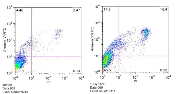 Annexin V-FITC Apoptosis Staining / Detection Kit(AB14085)