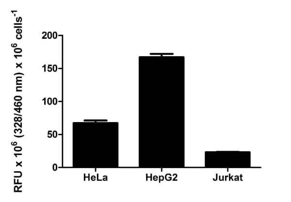 Cathepsin D Activity Assay Kit (Fluorometric)(ab65302)