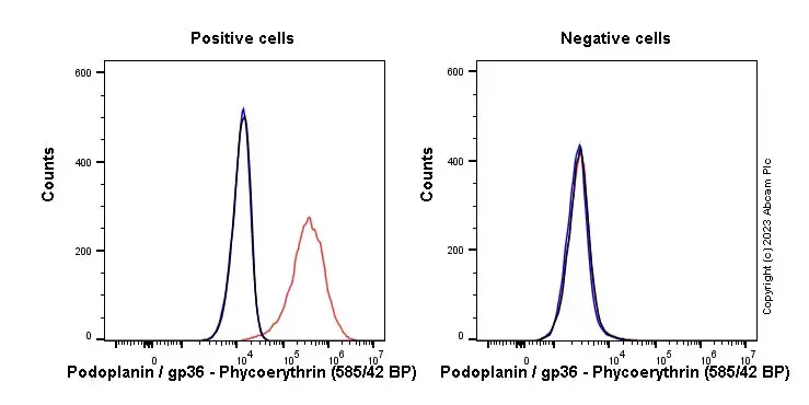 PE Rabbit IgG, monoclonal [EPR25A] - Isotype Control(AB209478)