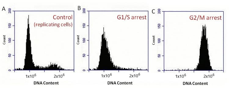 Propidium Iodide Flow Cytometry Kit(AB139418)