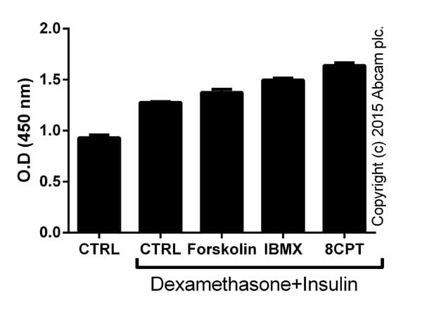 Dexamethasone, anti-inflammatory glucocorticoid(AB120743)
