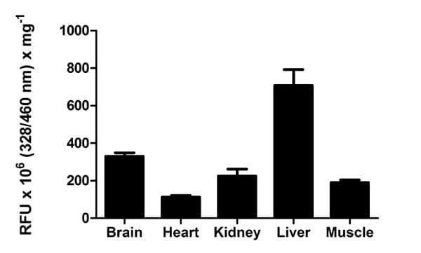 Cathepsin D Activity Assay Kit (Fluorometric)(ab65302)