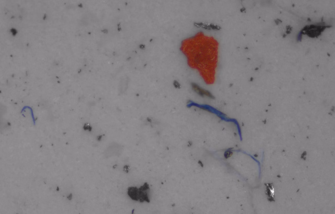 More Insight On Particles Kid21767959