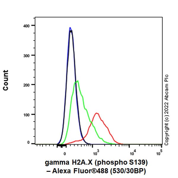 Anti-gamma H2A.X (phospho S139) antibody [N1-431](ab303656)