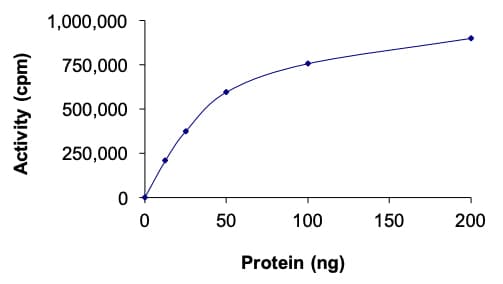 Recombinant human DYRK2 protein(AB133138)