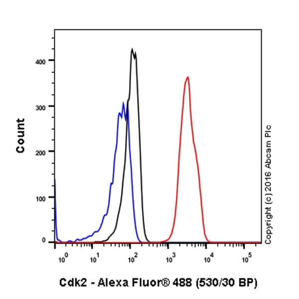 Anti-Cdk2 antibody [E304](AB32147)