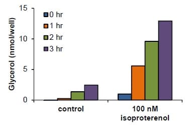 Lipolysis Assay Kit (Colorimetric)(AB185433)