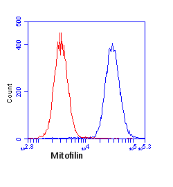 Anti-Mitofilin antibody [2E4AD5] - Mitochondrial Marker(AB110329)