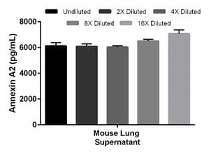 Mouse Annexin A2 ELISA Kit(AB210576)