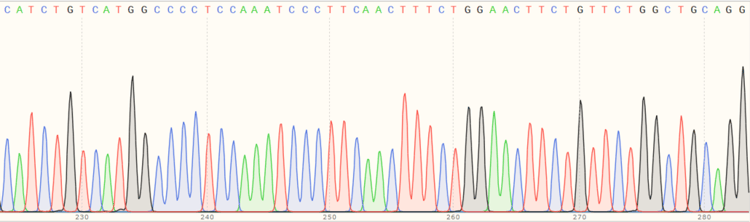 Human GBA knockout HeLa cell line(AB265038)