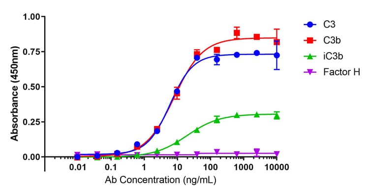 Anti-C3b / iC3b antibody [1H8](AB231080)