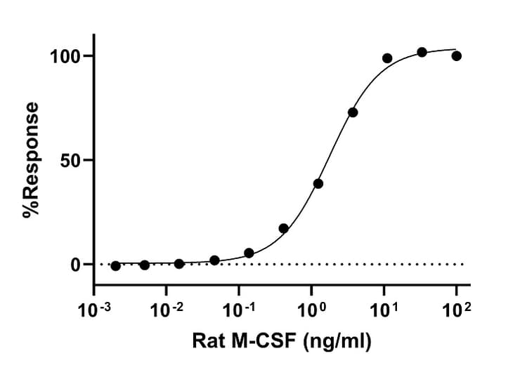Recombinant Rat M-CSF Protein (Active)(AB307410)