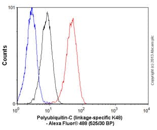 Anti-Ubiquitin (linkage-specific K48) antibody [EP8589] - BSA and Azide free(AB271911)