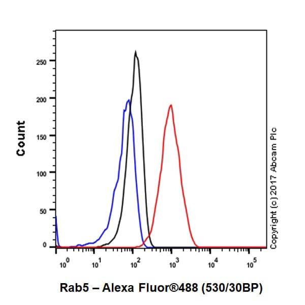 Anti-Rab5 antibody [EPR21801] - Early Endosome Marker(AB218624)