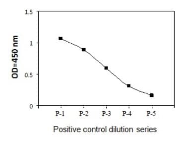 Phospho-NF-kB p65 (S536) and Total NF-kB p65 ELISA Kit(ab279874)