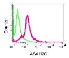 Asah2b Antibody Epr10539 Bsa And Azide Free Ab249617  Flow Cytometry Intracellular Img79246