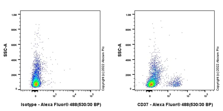 Anti-CD37 antibody [EPR25397-149] (BSA and Azide free)(AB300412)